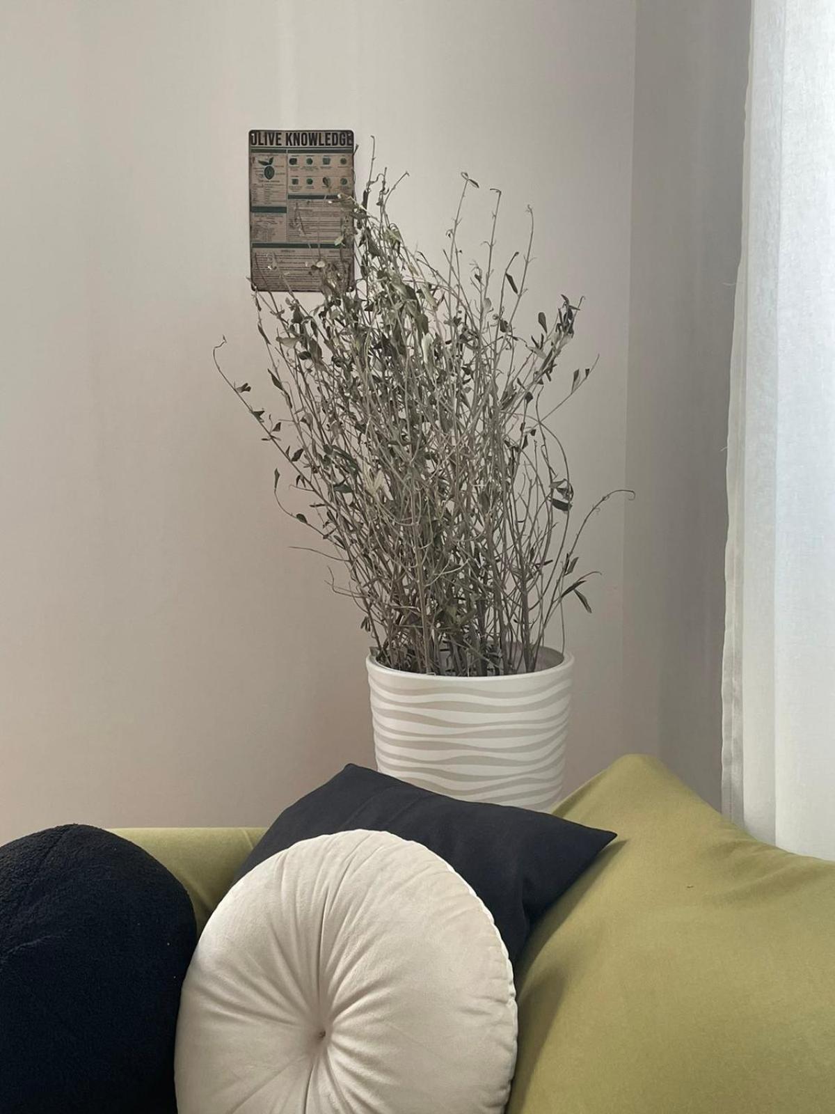 Acropolis 80m2 Friends&family Olivehome *